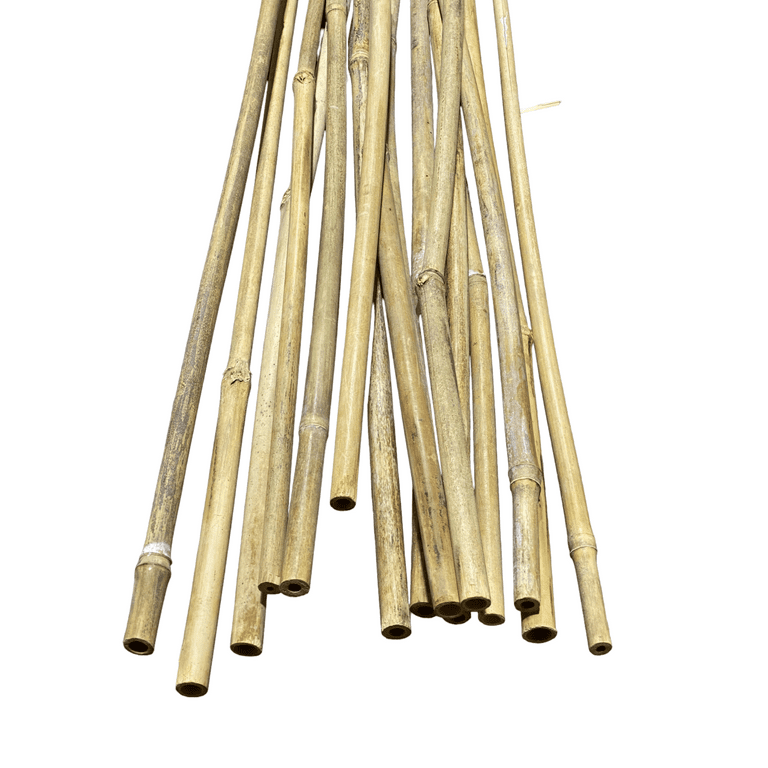 Long Round Fresh Green Bamboo Stick, For Construction, Thickness: 3mm at Rs  131/piece in Junagadh