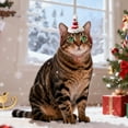 thumbnail image 3 of Christmas Cat Clothes Set, Festive Knit Hat and Scarf CLothes for Cats & Small Dogs, Soft Pet Apparel for Holiday Photos, Christmas Decorations & Winter Parties B, 3 of 7