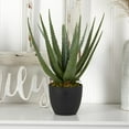 thumbnail image 2 of Nearly Natural Aloe Artificial Plant (Set of 2), 2 of 4