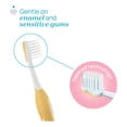 thumbnail image 2 of Combo de Cepillos de Dientes Chicco 6 a 36 M Dos Colores Amarillo Chico, 2 of 5