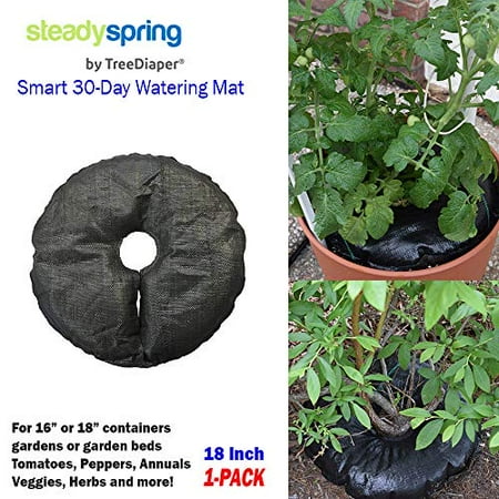 SteadySpring by TreeDiaper Smart 30-Day Watering Mat for Tomato Plants, Peppers, Veggies, Perennials, Annuals - Self-Fills with Rain (1)