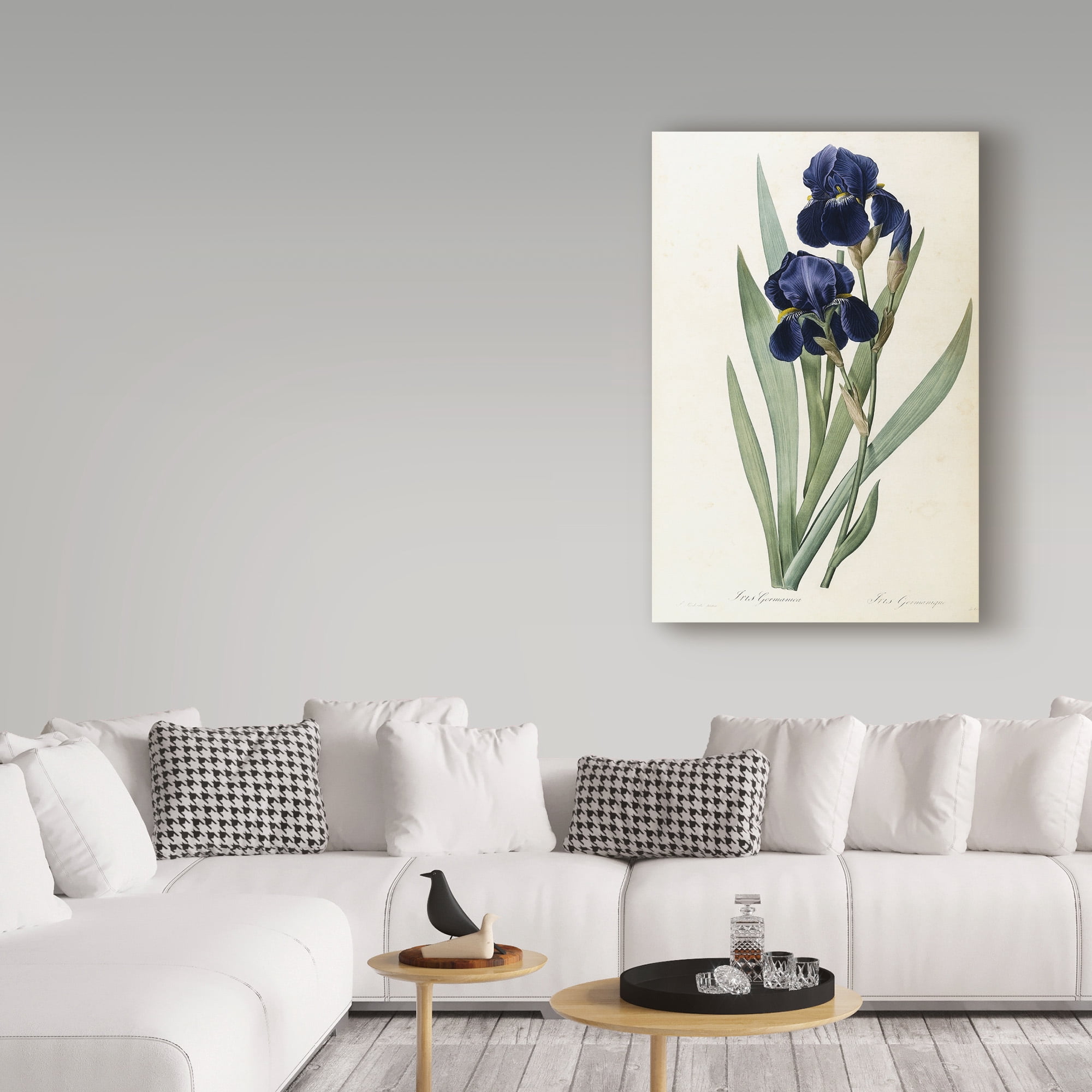 Trademark Fine Art 'Iris Germanica German Iris' Canvas Art by Pierre-Joseph Redoute