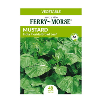 Ferry-Morse 100MG Mustard India Florida Broad Leaf Vegetable   Packet