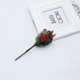 thumbnail image 5 of Christmas Artificial Berry,large Red Berry Decoration Tipped Pine Needles Gift Wreath Christmas Tree Decoration,9 Pack Crafts Holly Berries Bunch With, 5 of 5