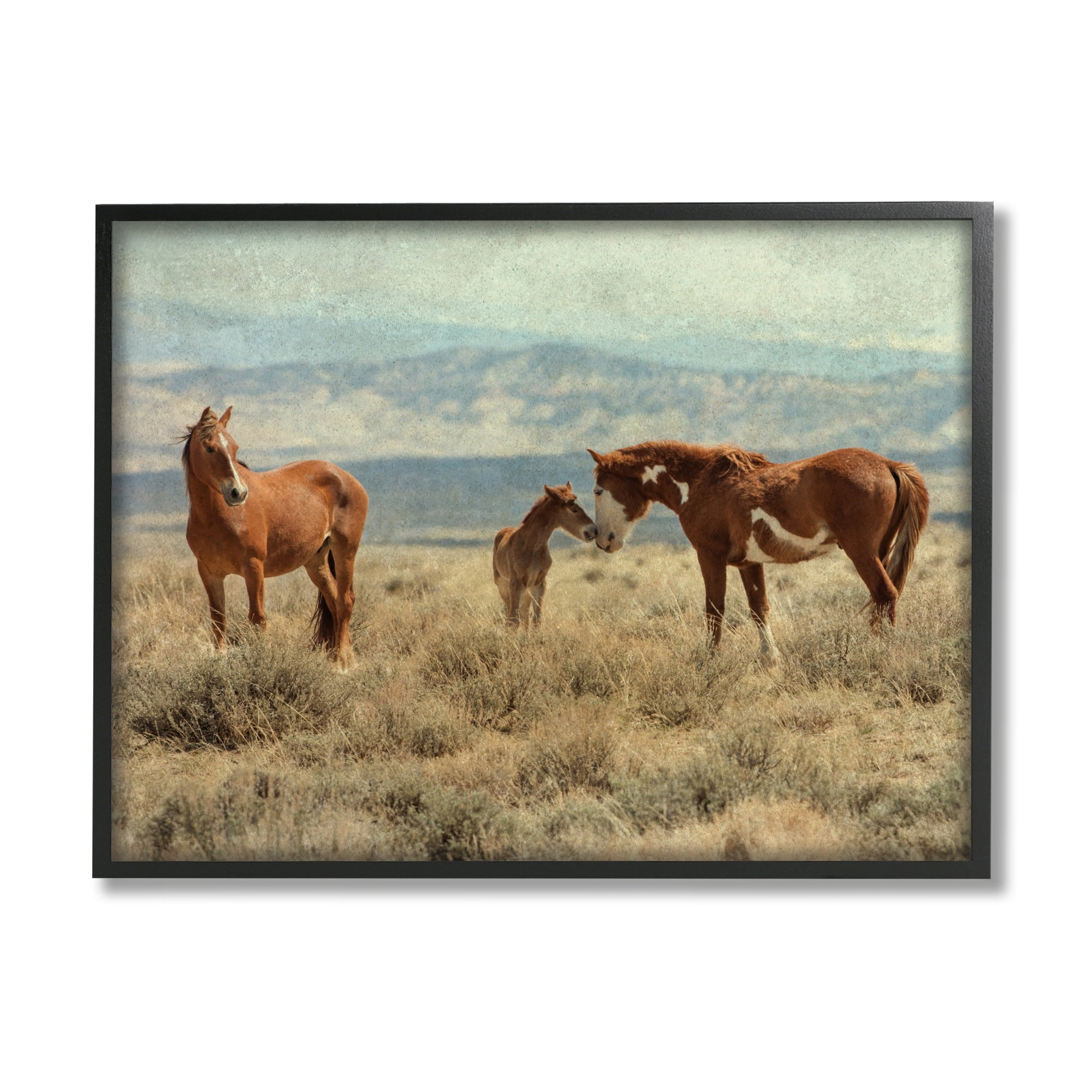 Stupell Industries Heartening Horse Foal Family Scenic Mountain Clouds Photograph Black Framed Art Print Wall Art, Design by Jan Walters