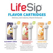 Cirkul LifeSip Flavor Cartridge Variety Pack, 6-Pack (2 Blackberry Lemon, 2 Lychee Grapefruit Watermelon, 2 Orange Swirl)