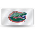 thumbnail image 1 of Caseys 9474652921 Plaque de Licence Florida Gators Découpée au Laser, Argent, 1 of 1