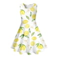 thumbnail image 7 of SOFTCCLO Dresses for Girls Sleeveless Crew Neck Lemon Print Fresh Casual Dress for Summer Daily Wear Size 11-12Y, 7 of 7