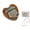 C, variant on 8 Key Mini Finger Thumb Piano, Portable Musical Instrument Pendant, Beginner Music Lover Gift, Wooden Kalimba, with Carry Strap