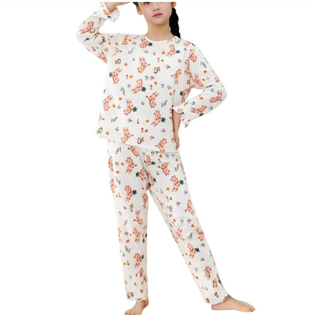 Pyjama Mignon à Imprimé Floral pour Tout-Petites et Petites Filles, Manches Longues et Pantalon, Ensemble de Pyjama 2 Pcs