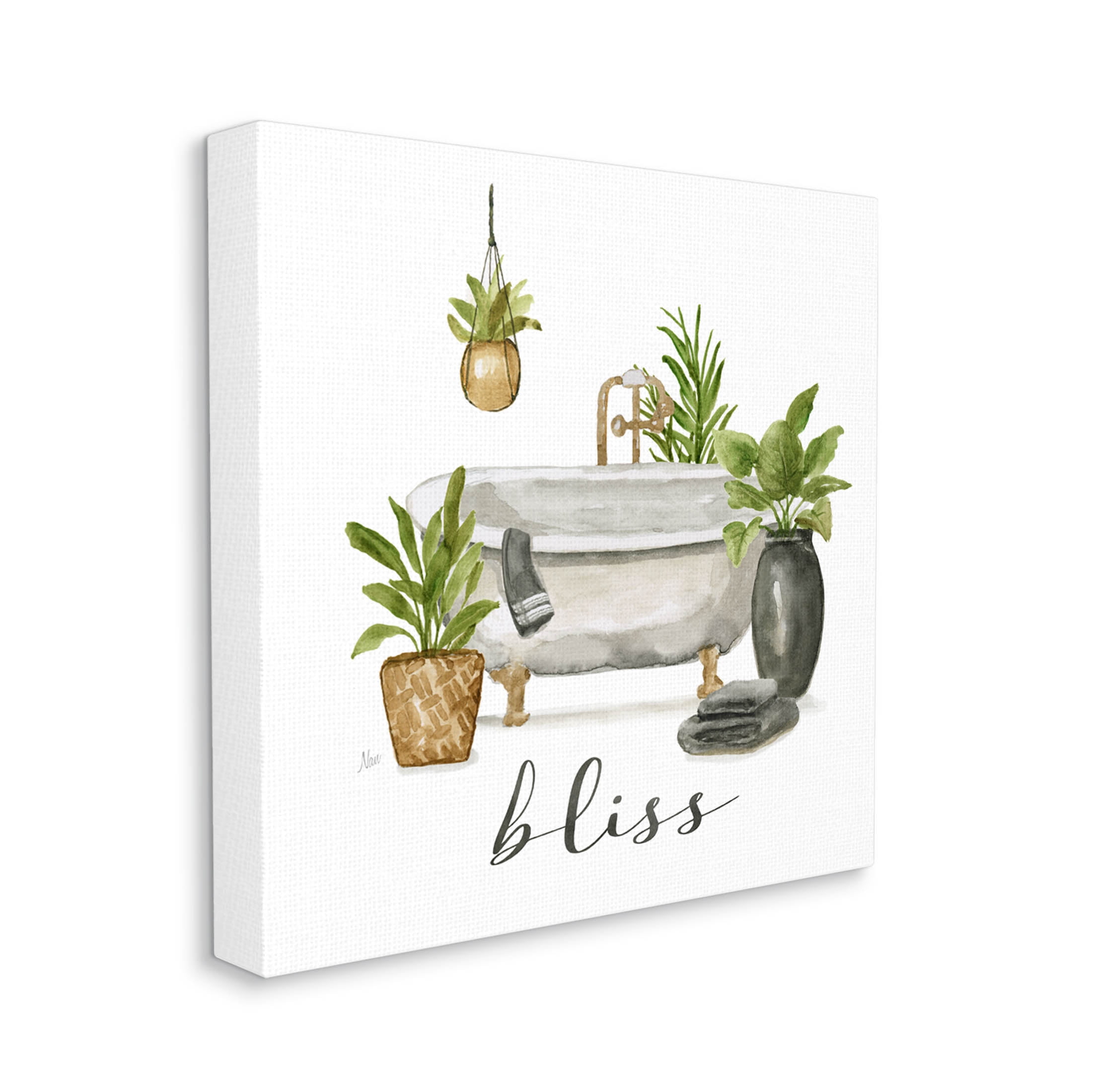 Stupell Industries Bliss Various Potted Plants Graphic Art Gallery Wrapped Canvas Print Wall Art, Design by Nan