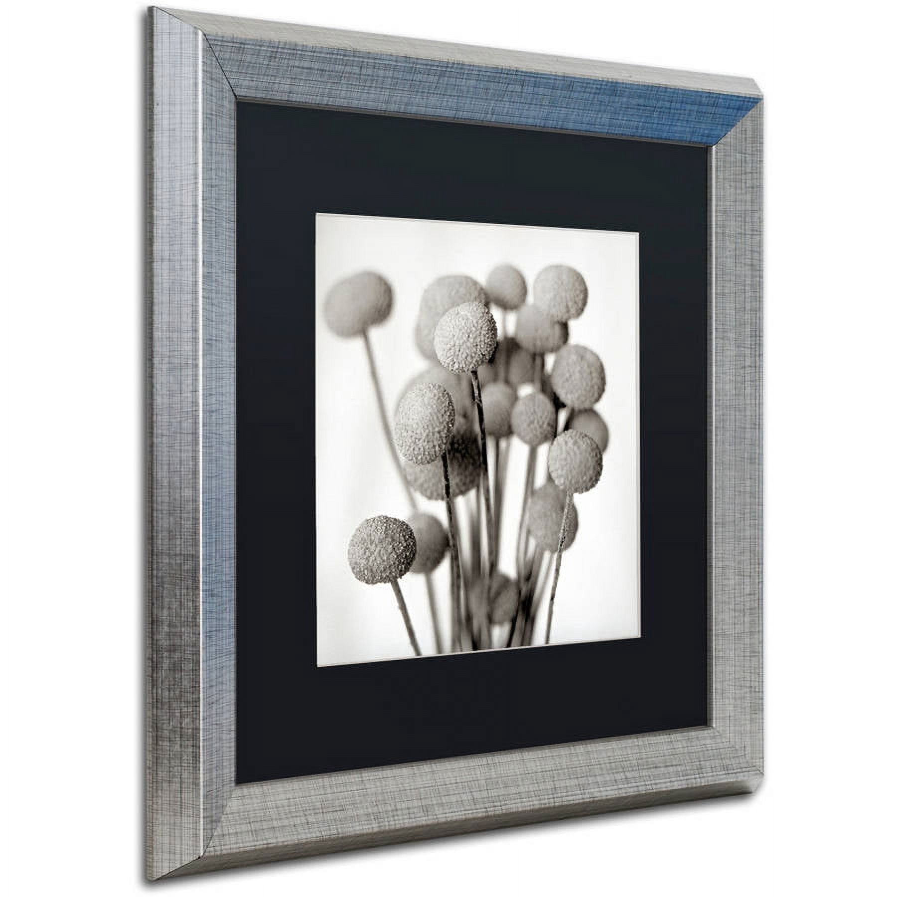 Trademark Fine Art "Florison 33" Canvas Art by Alan Blaustein, Black Matte, Silver Frame