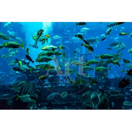 Stingray Fish. Aquarium Tropical Fish on A Coral Reef Print Wall Art By