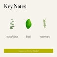 thumbnail image 3 of Recarga para dispositivos inteligentes LAFCO New York Pura Rosemary Eucalyptus, 3 of 6