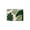 Color 8, variant on Green Leaf Embroidered Rug Pattern Soft Small Velvet Area Rugs Non Slip Indoor Floor Carpet for Living Room Bedroom Decor