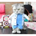 thumbnail image 1 of Disfraz de médico para perros y gatos, ropa para médicos de mascotas, pantalones vaqueros de Halloween, ropa para primavera y otoño, ropa para gatos y mascotas, ropa divertida y divertida, ropa para p, 1 of 5