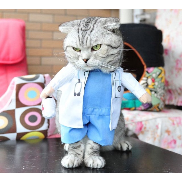 Disfraz de médico para perros y gatos, ropa para médicos de mascotas, pantalones vaqueros de Halloween, ropa para primavera y otoño, ropa para gatos y mascotas, ropa divertida y divertida, ropa para p