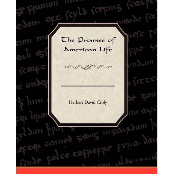 The Promise Of American Life (Paperback)