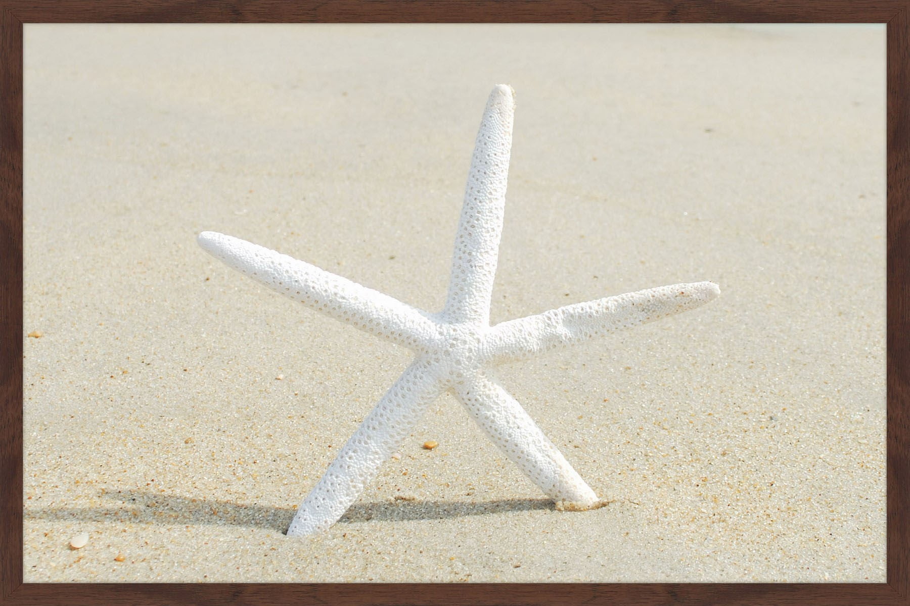 "Beach Star" Framed Painting Print