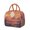Cactus Desert (29)-new_10, variant on Insulated Lunch Tote Lunch Box for Women Men,Gothic Black Stars and Moon Zipper Closure Lunch Tote Small Leakproof Cute Lunch Cooler with for Work Picnic Camping