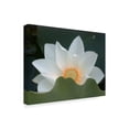 thumbnail image 2 of Trademark Fine Art 'Delicate Lotus III' Canvas Art by Jim Christensen, 2 of 4