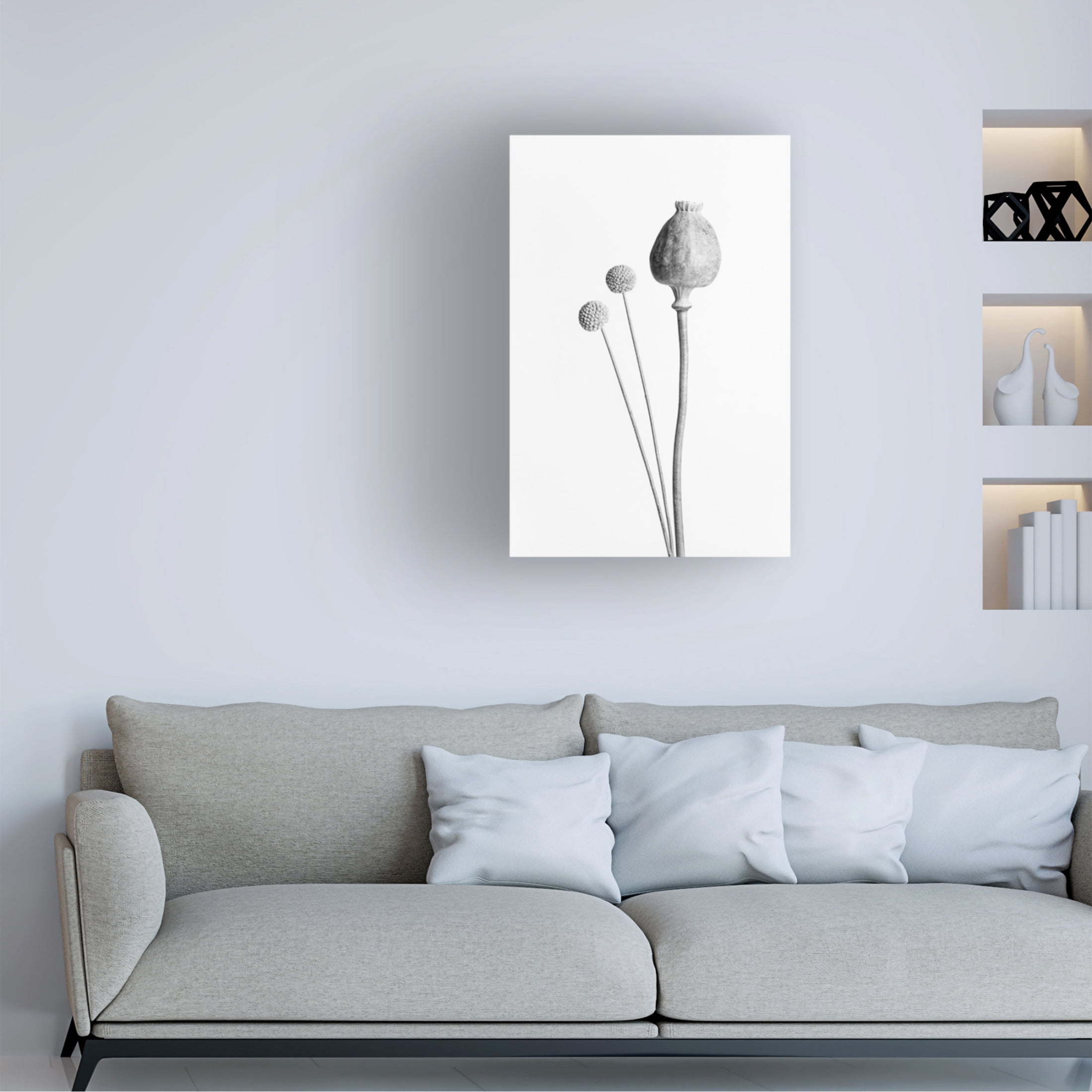 Trademark Fine Art Pictufy Studio Poppy Seed Capsule Black And White Canvas Wall Art