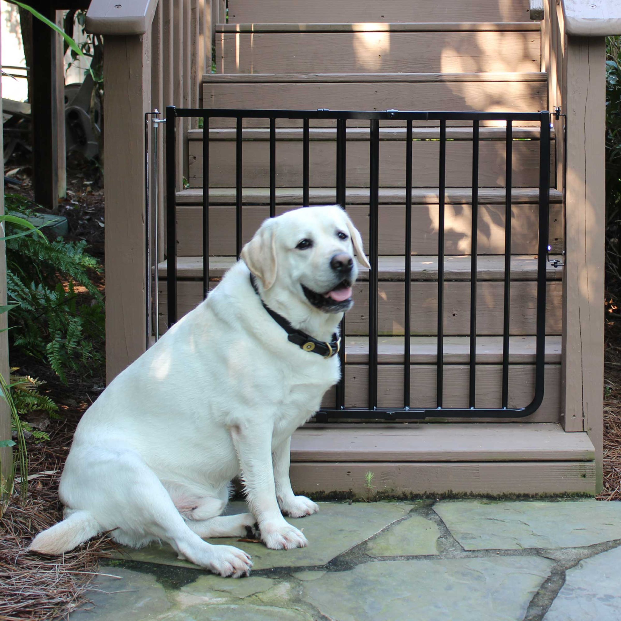 Cardinal Gates Outdoor Safety Gate - Black