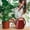 C, variant on 1-Gallon Plastic Watering Can with Comfortable Handle, Garden Watering Cans Long Spout for Indoor Outdoor Watering Plants