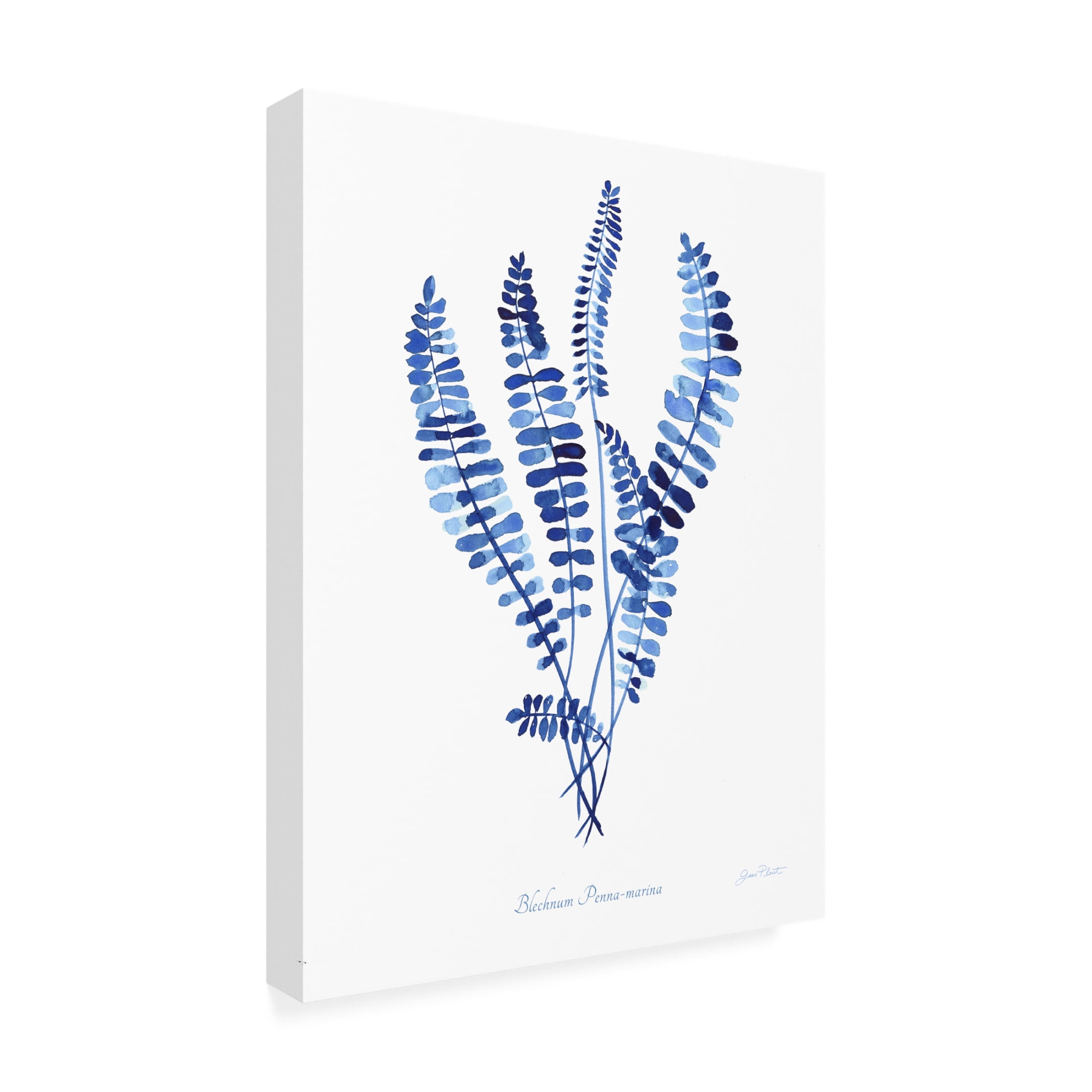 Canvas Wall Art - Jean Plout 'Indigo Botanical 11' Wall Art for Living Room, Bedroom, or Office Décor by Trademark Fine Art - 14 x 19 Inches