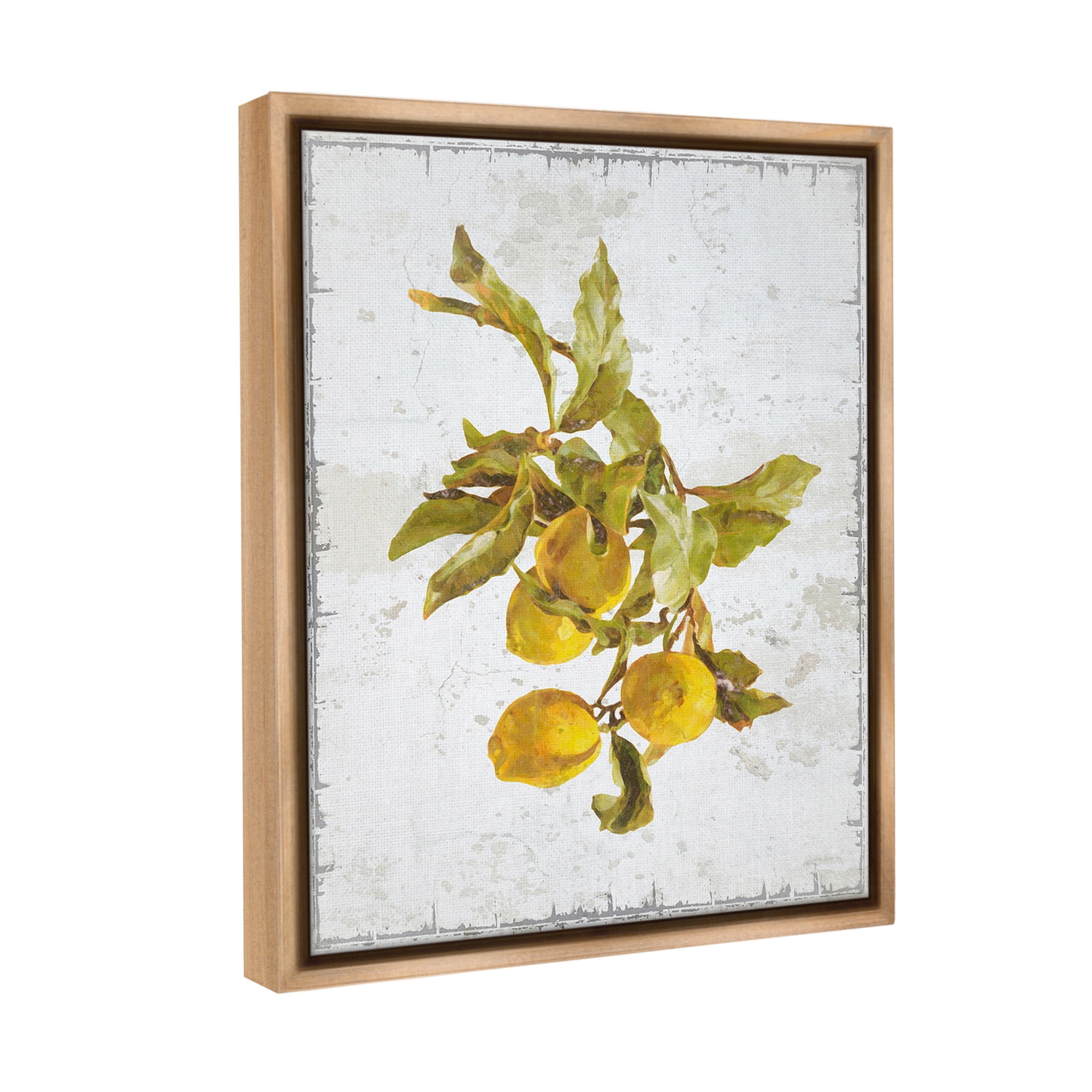 Stupell Industries Natural Lemon Branch Food & Beverage Painting Brown Floater Framed Canvas Art Print Wall Art, 17 x 21