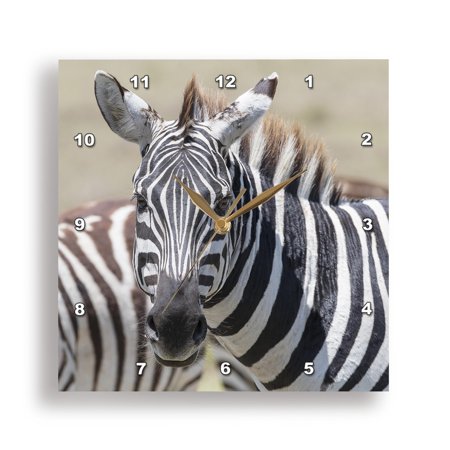 3dRose, Africa, Kenya, Maasai Mara National Reserve. Closeup of zebra., 15x15 Wall Clock