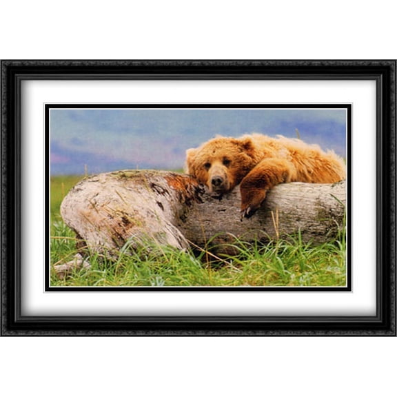Life's a Bear 2x Matted 40x28 Large Black Ornate Framed Art Print by Thomas Mangelsen