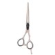 thumbnail image 1 of Ciseaux de coupe de cheveux, ciseaux de coiffure portables pour salon de coiffure à domicile, outil de coiffure, ciseaux plats de 5,5 pouces, 1 of 4