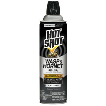 Hot  Wasp And Hornet Killer 17.5 Ounces, Up to 27 Foot Jet Spray