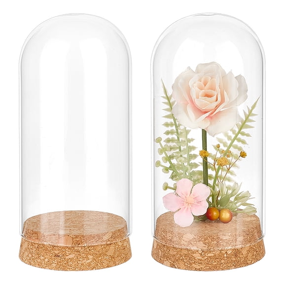 2Pcs Glass Display Dome Cloche 5.1x2.5Inch Glass Decorative Jars with Cork Base for Flower Plants Crafts Decorations
