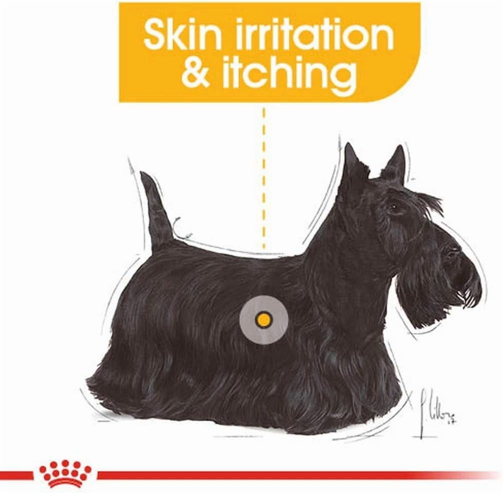 Royal Canin Dermacomfort Dog Wet Food Loaf 12x85g