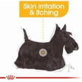 thumbnail image 5 of Royal Canin Dermacomfort Dog Wet Food Loaf 12x85g, 5 of 5