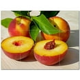 thumbnail image 1 of Fruit Food Ceramic Tile Mural Kitchen Backsplash Bathroom Shower 400656-S43, 1 of 3