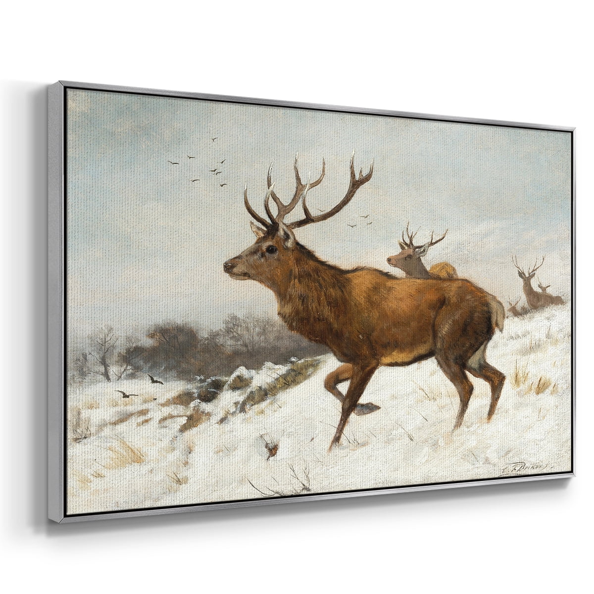 Vintage Animal Print-V By Wexford Home Framed in Silver Wood Gallery Wrapped Canvas 27 in. x 41 in.