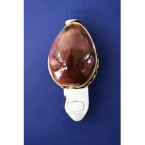 Real Seashell Night Light Purple Top Tiger Cowrie Shell Decorative Beach Decor