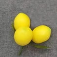 thumbnail image 1 of VERDANVERSE Limonas Decorativas De Plástico Multi Para De Cocina Y Ambiente Estilo Farmhouse, 1 of 8