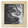 thumbnail image 1 of Marco cuadrado Unbranded Pantalla de escritorio de pared Black White Cat, 1 of 4
