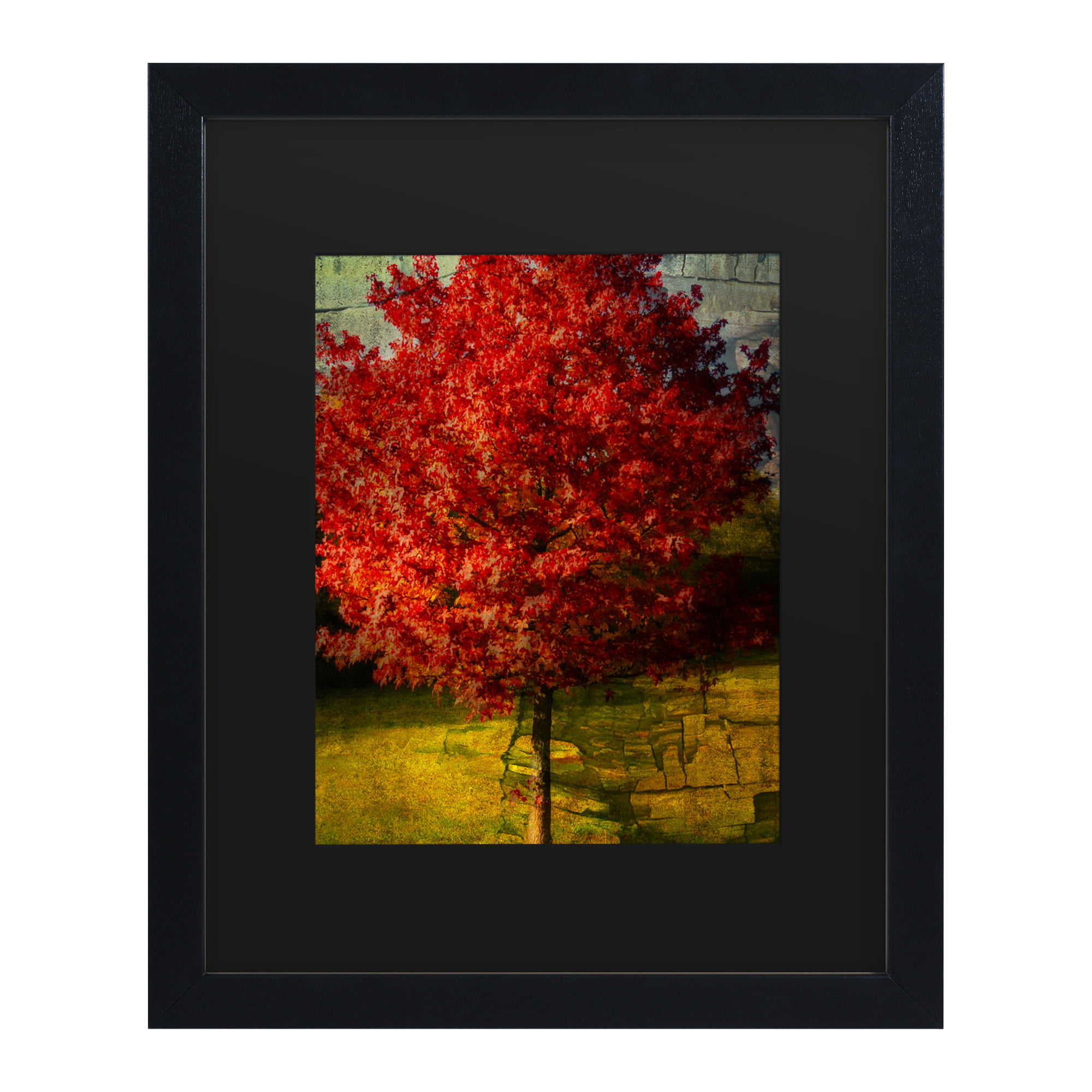 Matte White/Black Frame 11 by 14-Inch Red Maple Leaves Artwork by Philippe Sainte Laudy