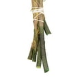 thumbnail image 5 of Vickerman 12-16" Natural Green Brunia, 4 oz Bundle, Preserved, 5 of 5