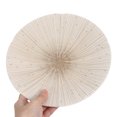 thumbnail image 3 of Shisuyan Japanese Style Ceramic Dinner Plate Salad Plate Pasta Dessert Plate Spaghetti Plate, 3 of 8