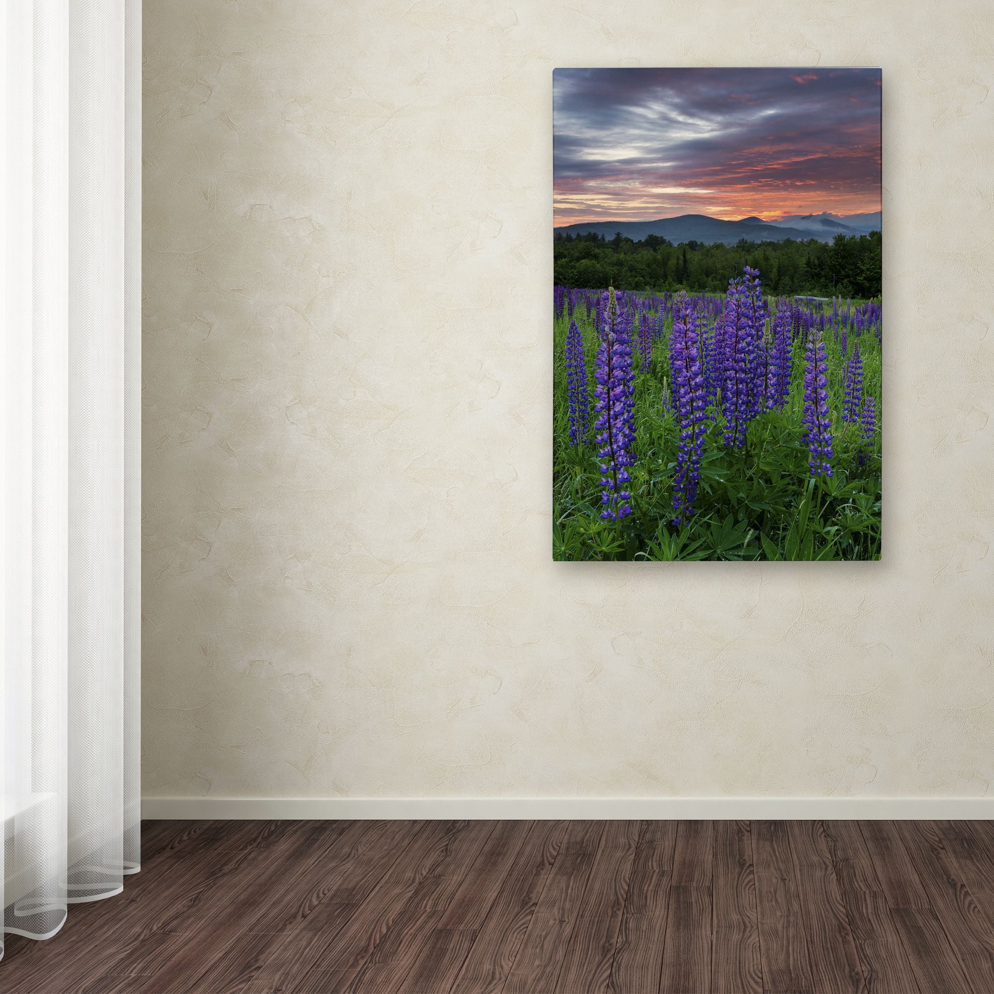 Trademark Fine Art 'Fire in the Sky' Canvas Art by Michael Blanchette Photography