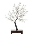 thumbnail image 3 of Floral Lights-Outdoor Cherry Blossom Tree 160WW LEDs(Hi-Line Exclusive), 3 of 4