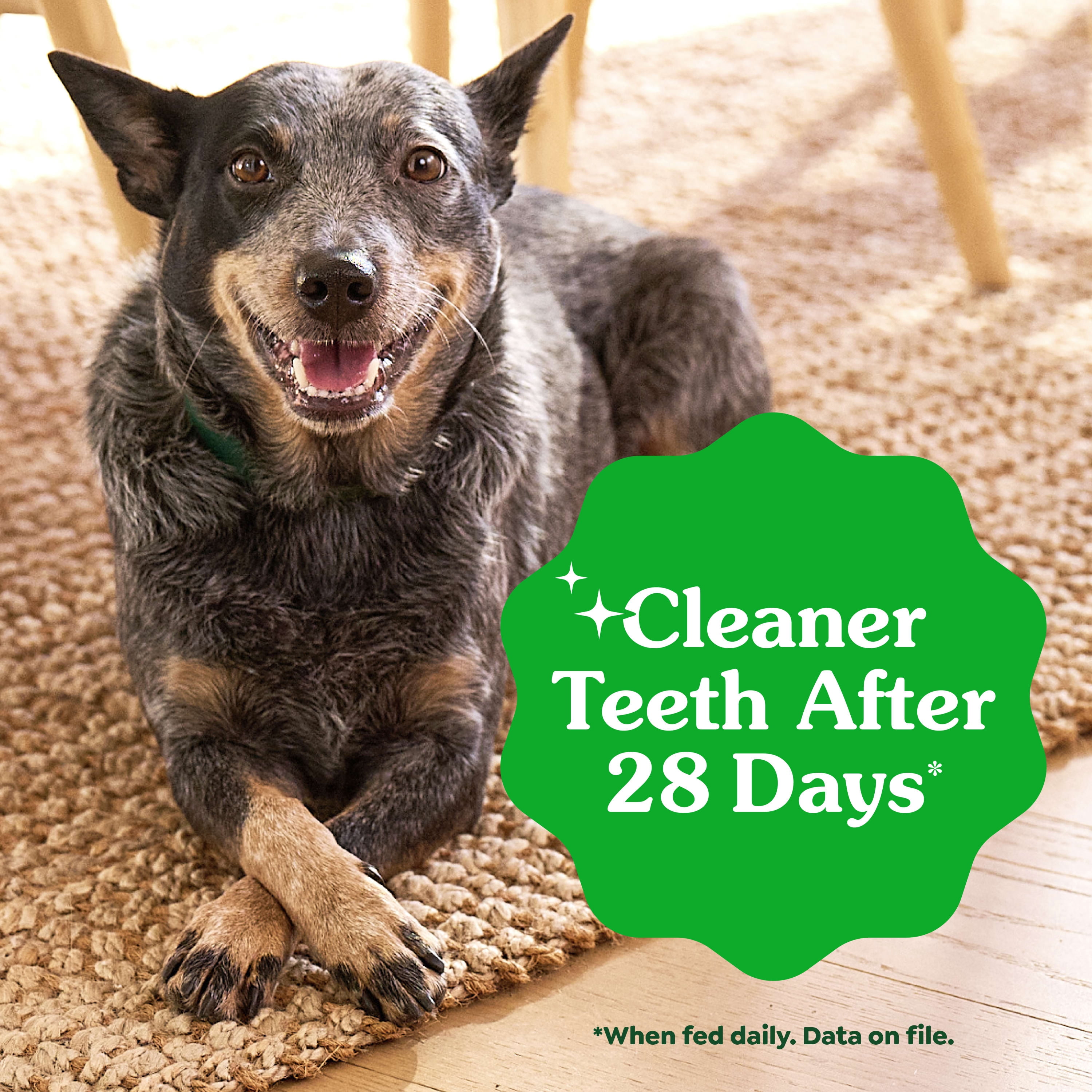 Greenies Aging Care Adult Natural Dental Dog Treats Teenie Size, 27 oz Pack (96 Count)