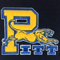 thumbnail image 2 of Winning Streak Sports 45047 Pittsburgh Heritage Banner, 2 of 3