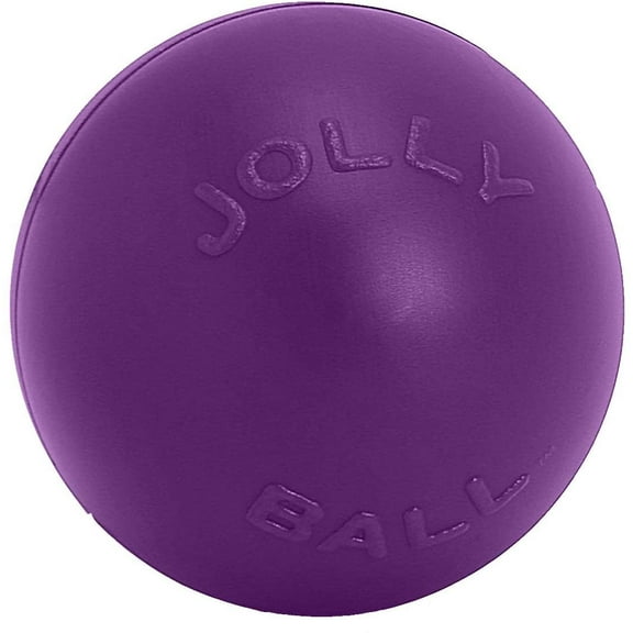 Jolly Pets Push-n-Play Jolly Ball Dog Toy, 10", Purple